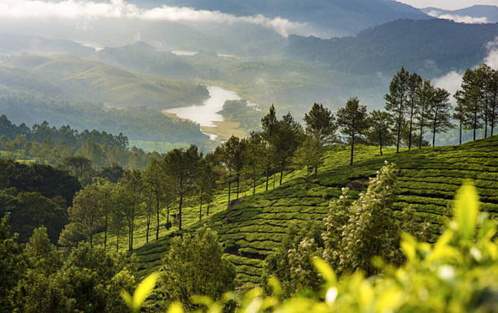 Munnar place to visit in summer